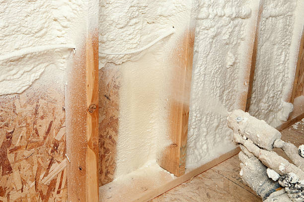 Best Spray Foam Insulation in USA